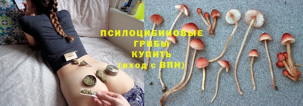 бошки Армянск
