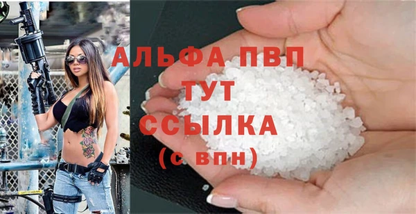 spice Аркадак