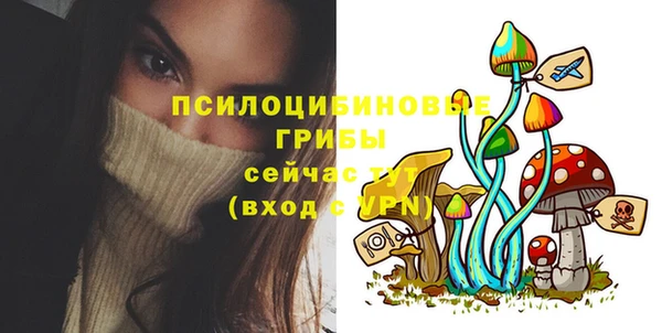 бутират Богородицк