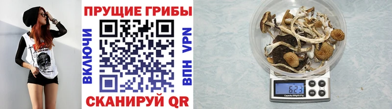 Галлюциногенные грибы Magic Shrooms Свирск